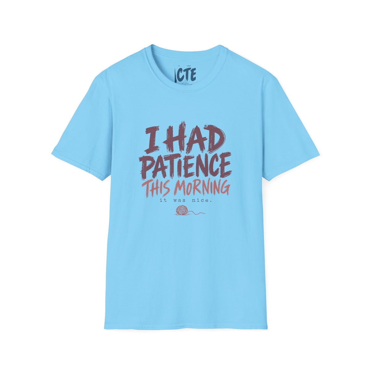 I Had Patience This Morning T-Shirt